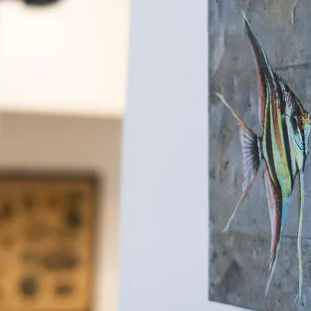 Maredentro Amazing View *